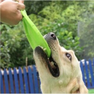 Alternative view of Silikon Frizbi Köpek Oyuncağı