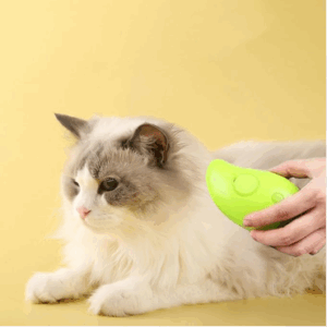 Alternative view of Buharlı Kedi Tarağı