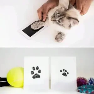 Alternative view of Kedi Köpek Pati İzi Fotoğraf Çerçevesi Seti