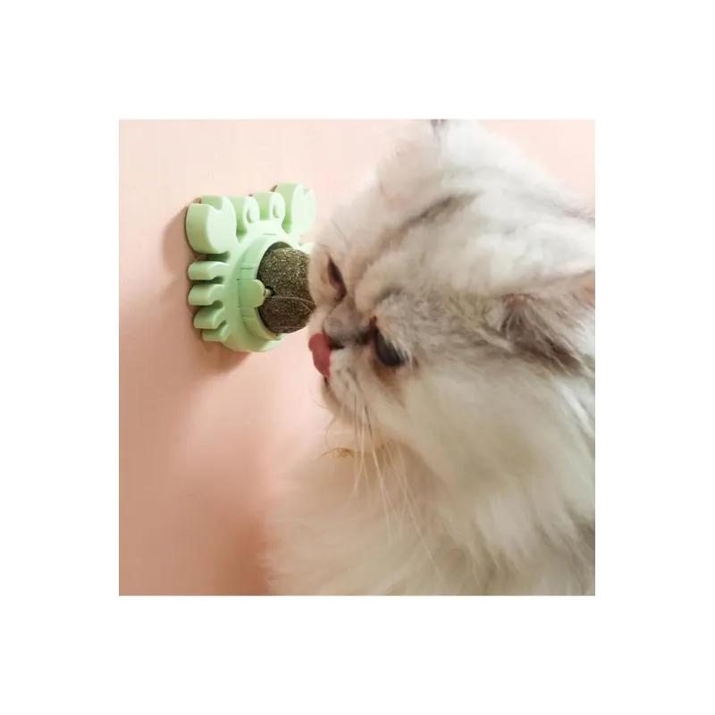 Yengeç Kedi Otu Oyun Topu